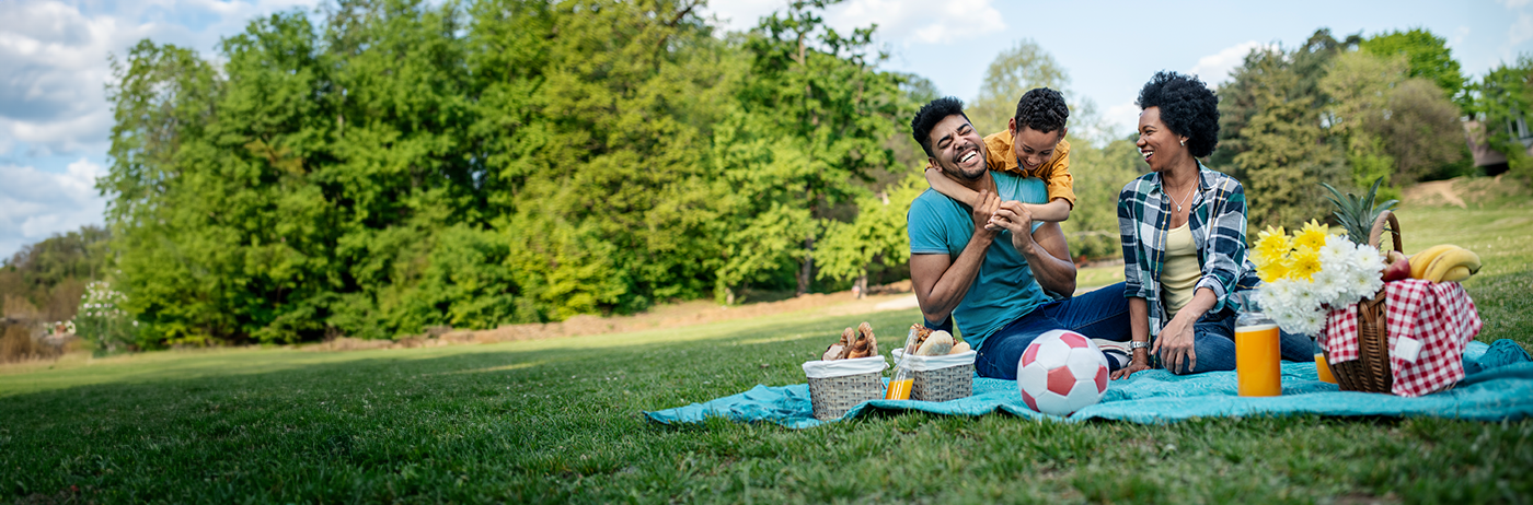 decorative image of a family sitting in the grass